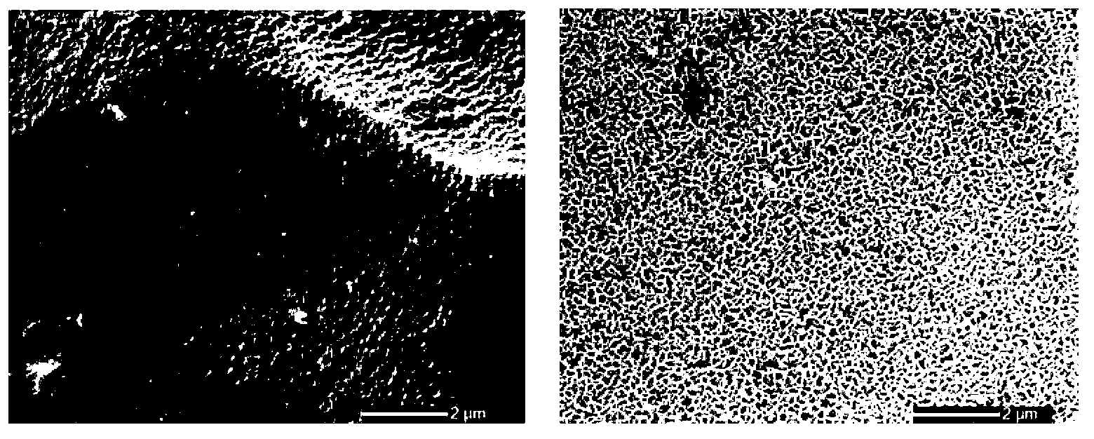 Green and environment-friendly sealing method for surface anode oxidization of aluminum alloy