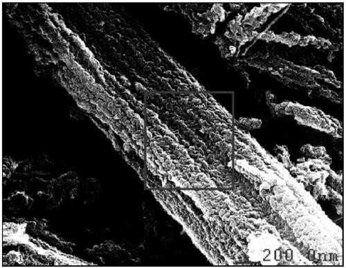 Preparation method for nitrogen-containing hierarchical porous carbon nano tube film