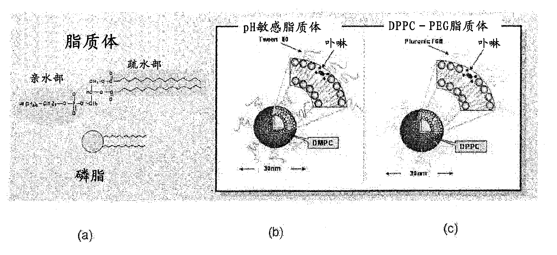 Therapeutic agent for disease