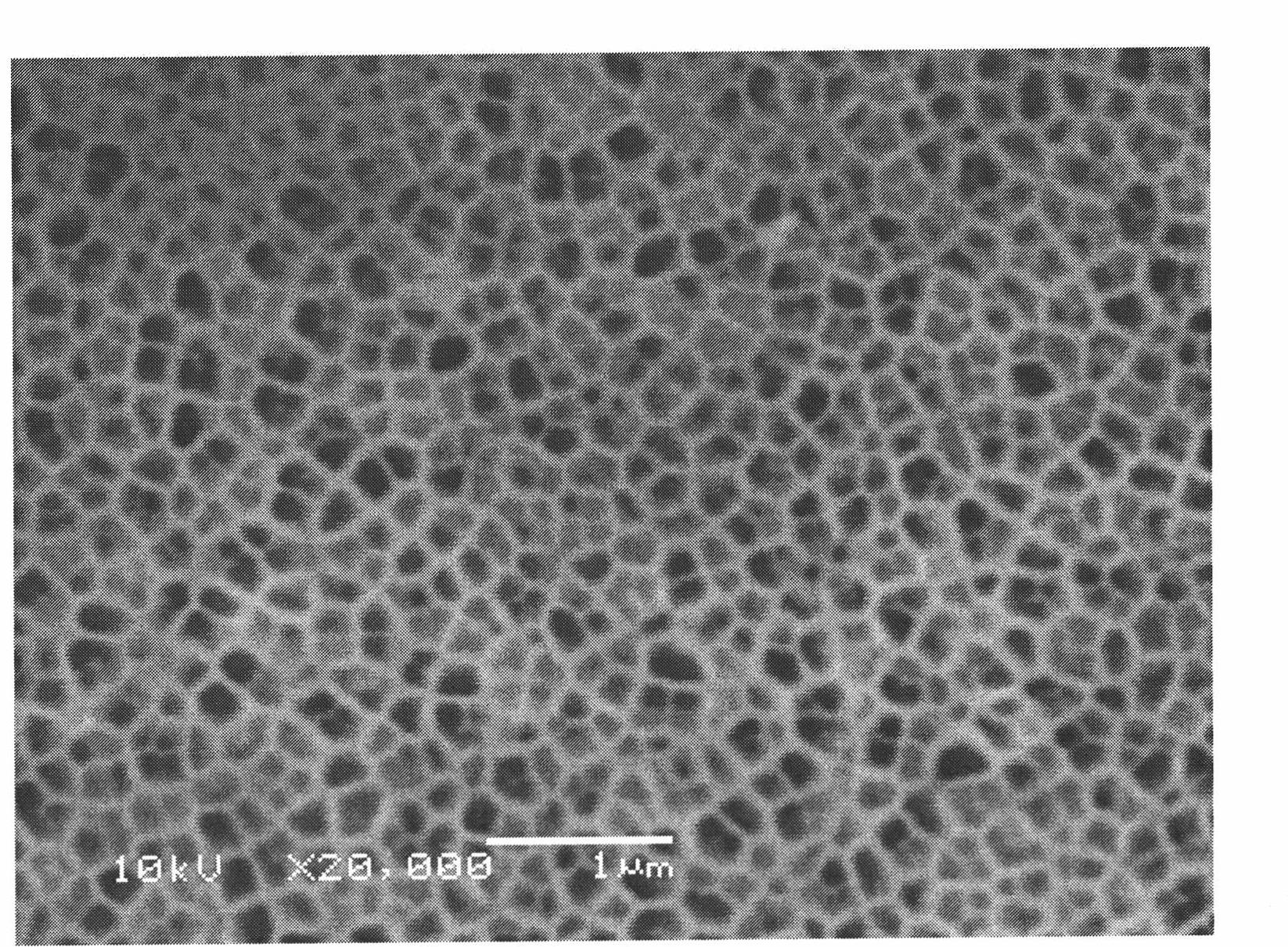 Method for preparing bismuth nano wire array thermoelectric materials