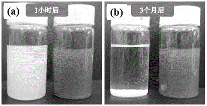 Method for modifying boron nitride nanosheet surface with polydopamine