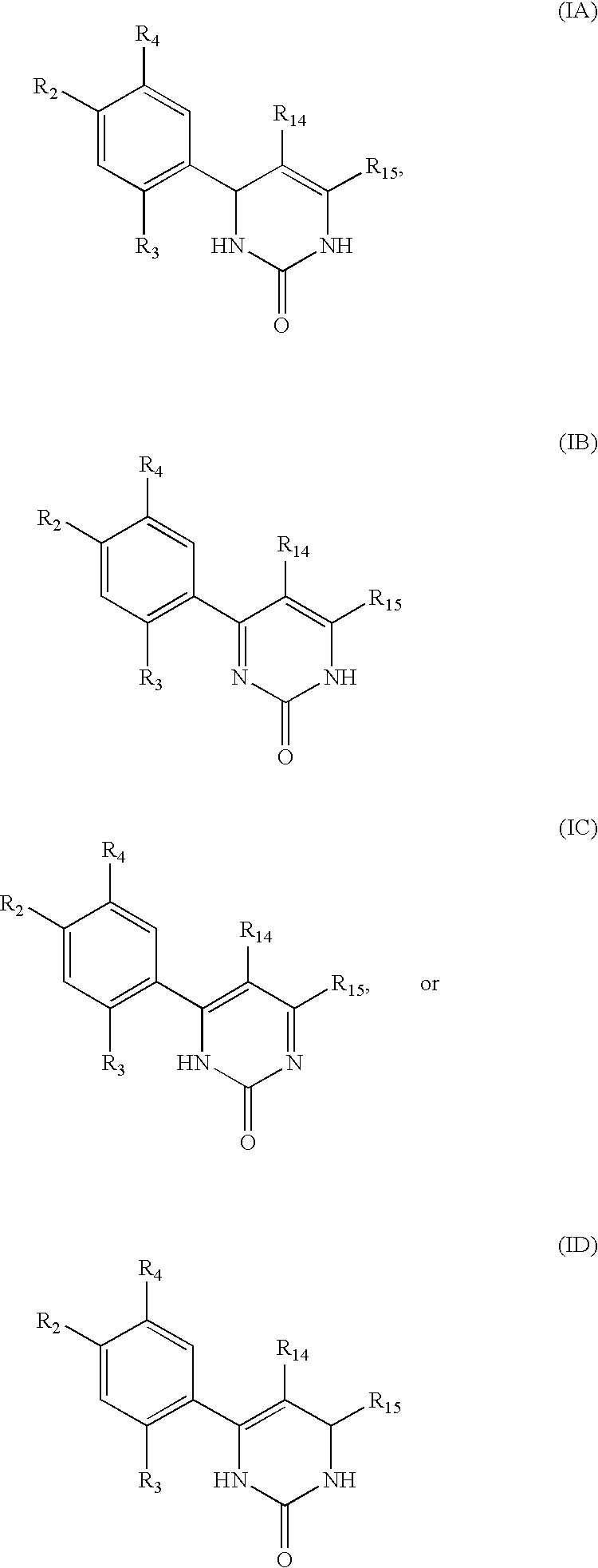 Triazinone and diazinone derivatives useful as HSP90 inhibitors