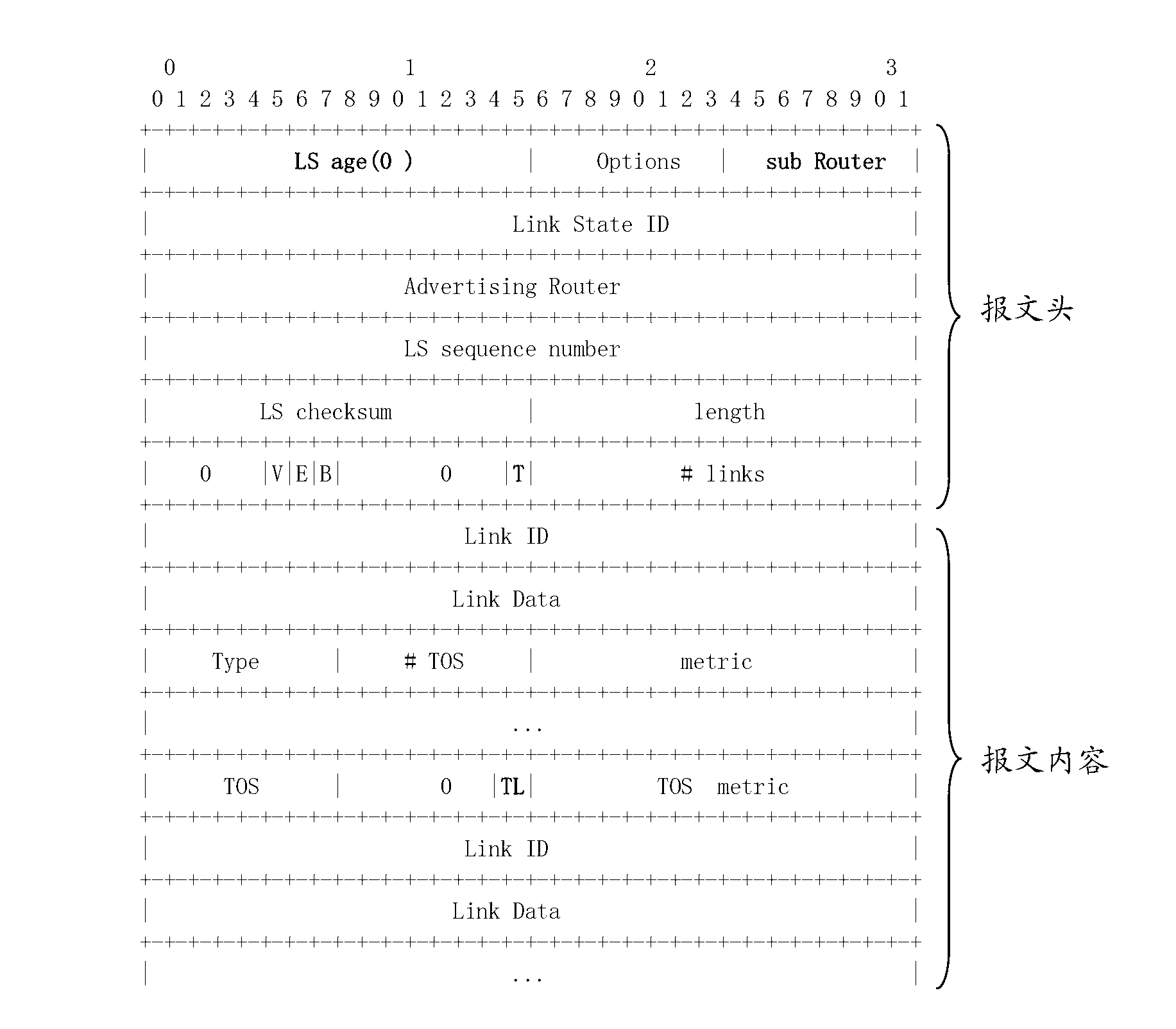 Router in OSPF (open shortest path first) network and processing method thereof