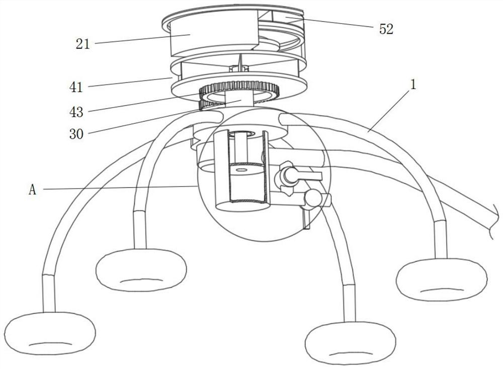 Fish culture feeding device