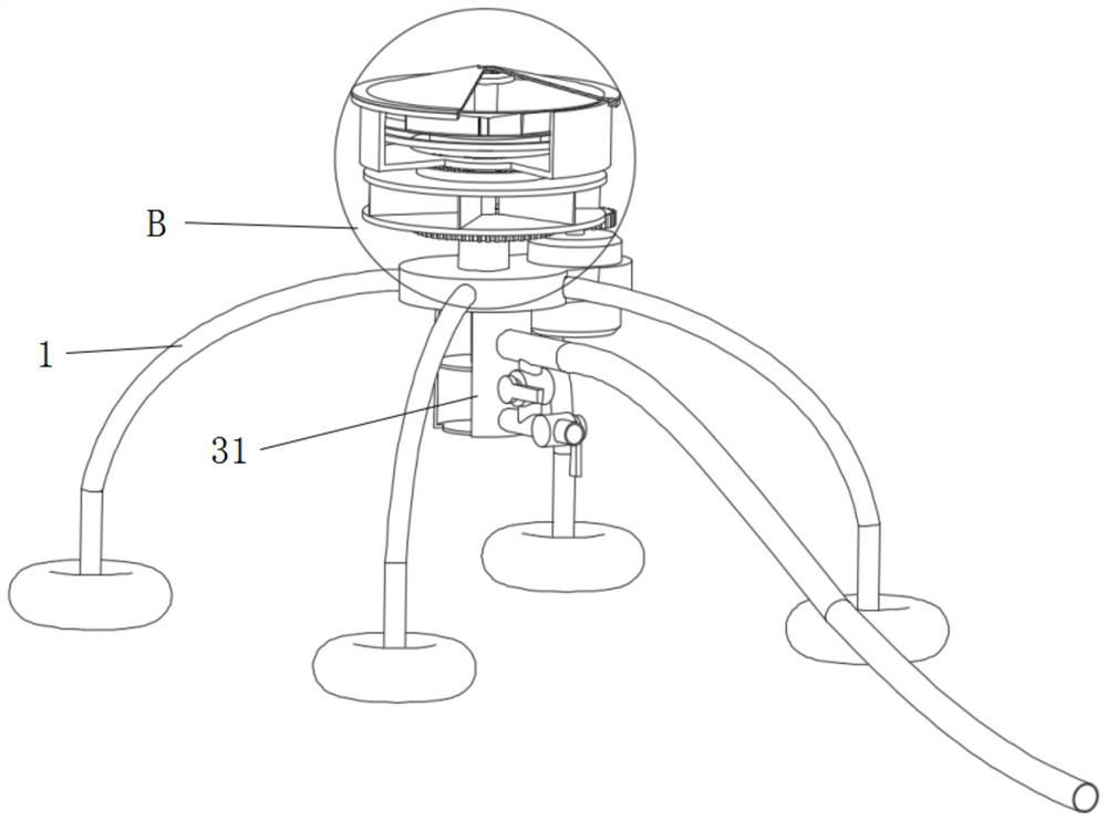 Fish culture feeding device