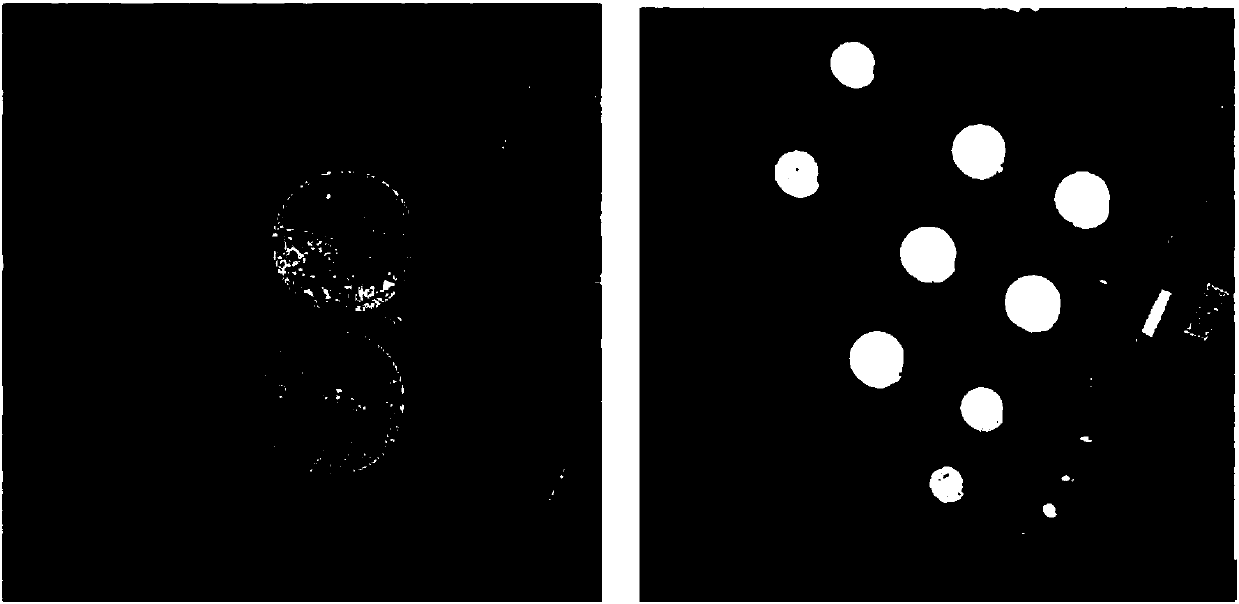 Remote sensing image scene recognition method and device