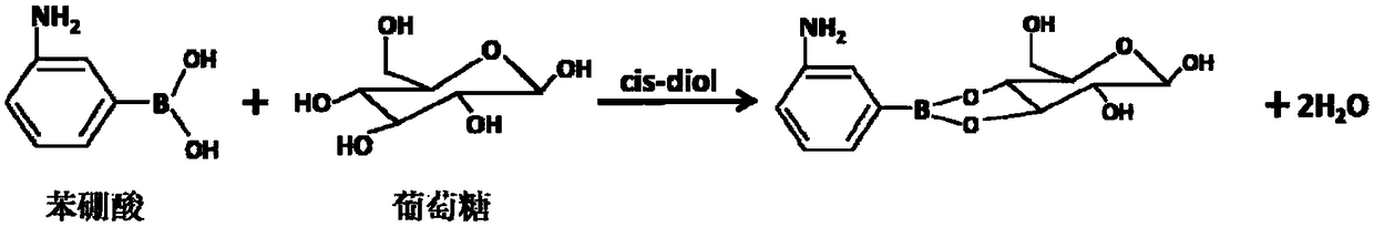 One-step reduction deposition method of graphene/phenylboronic acid complex for glucose detection