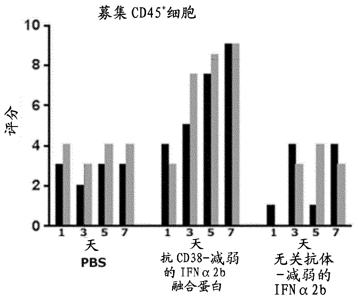 Anti-cd47 combination therapy