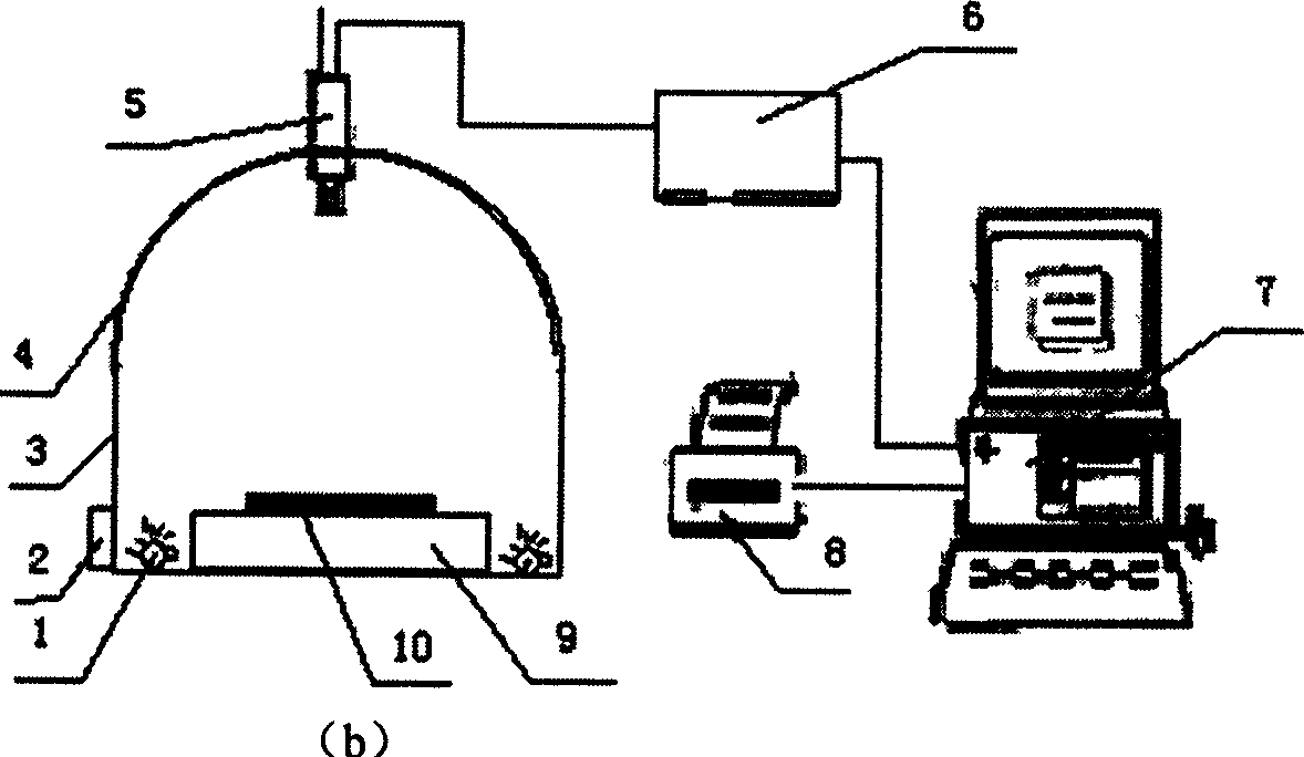 Method and device for computer vision detection and classification of beef carcase quality