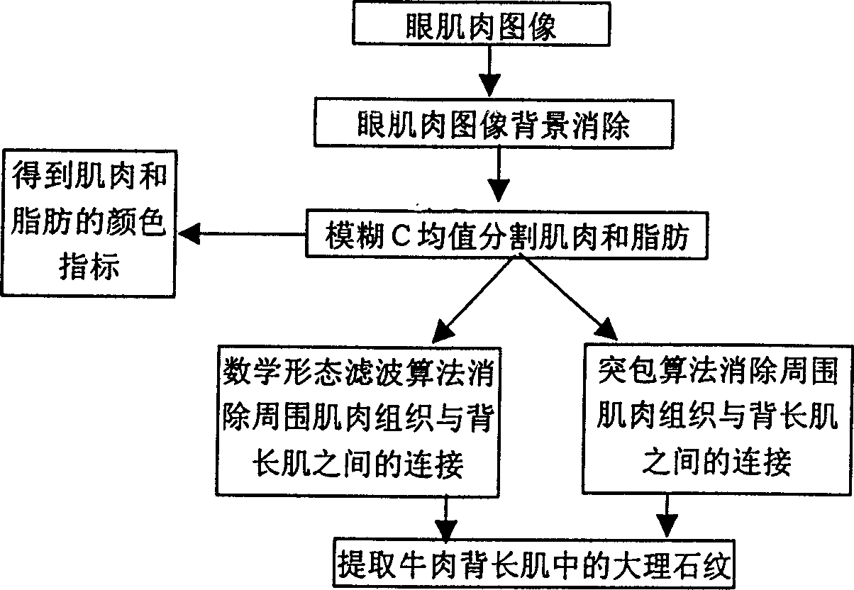 Method and device for computer vision detection and classification of beef carcase quality