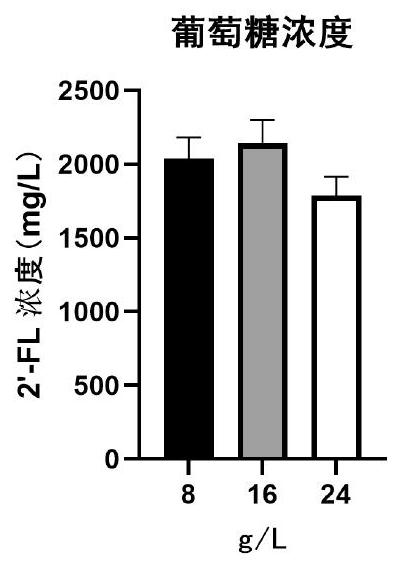 Batch fermentation method of 2'-fucosyllactose