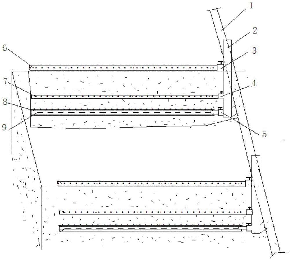 Method for irrigating winter wheat according to root distribution