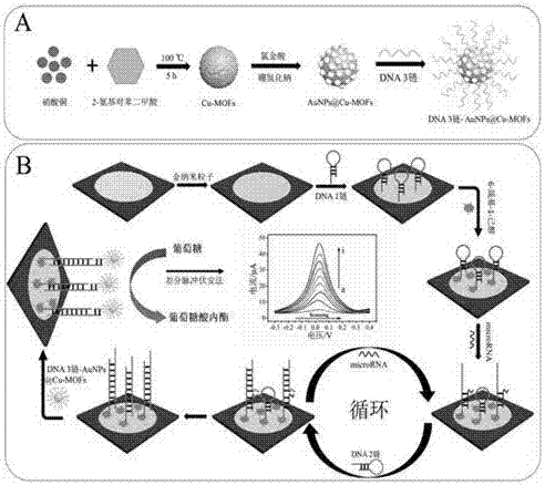 Metal organic frame material signal amplification electrochemical analysis paper chip sensor