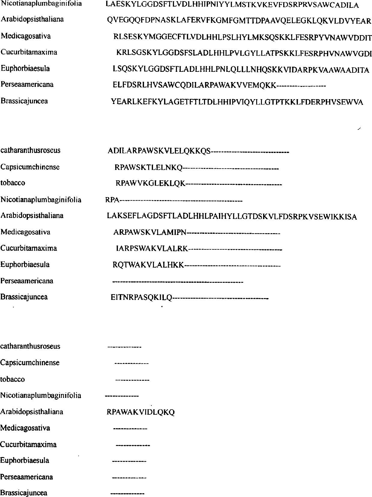 Gene sequence of glutathionetransferase of vinca rosea