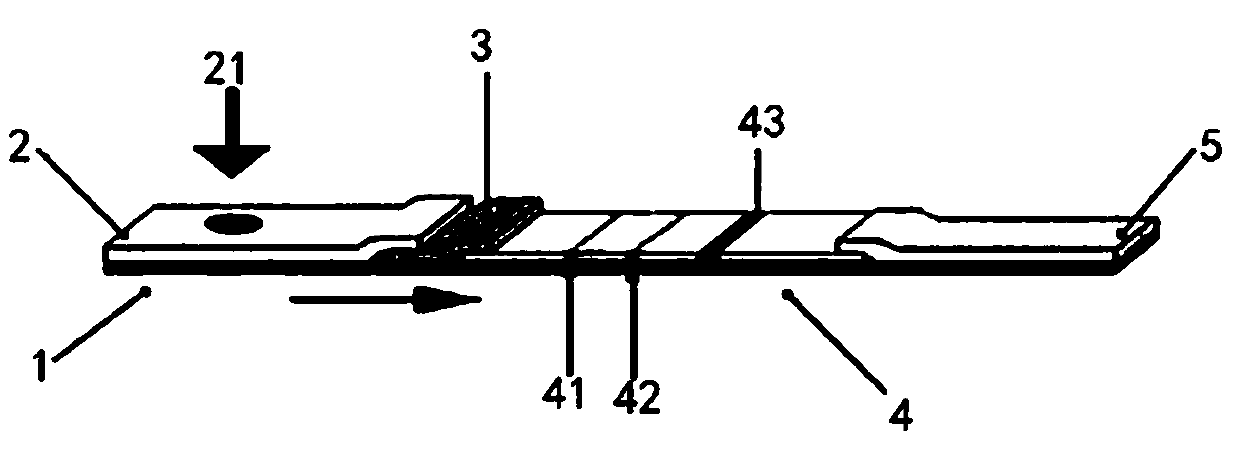 Novel coronavirus detection test strip as well as preparation method and application thereof