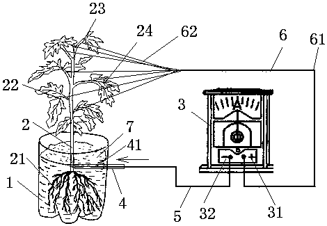 Pulse electrophoresis-assisted Agrobacterium-mediated plant transgenic method and device