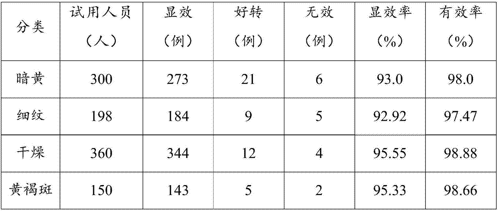 Traditional Chinese medicine mask, medicinal composition and preparation method thereof