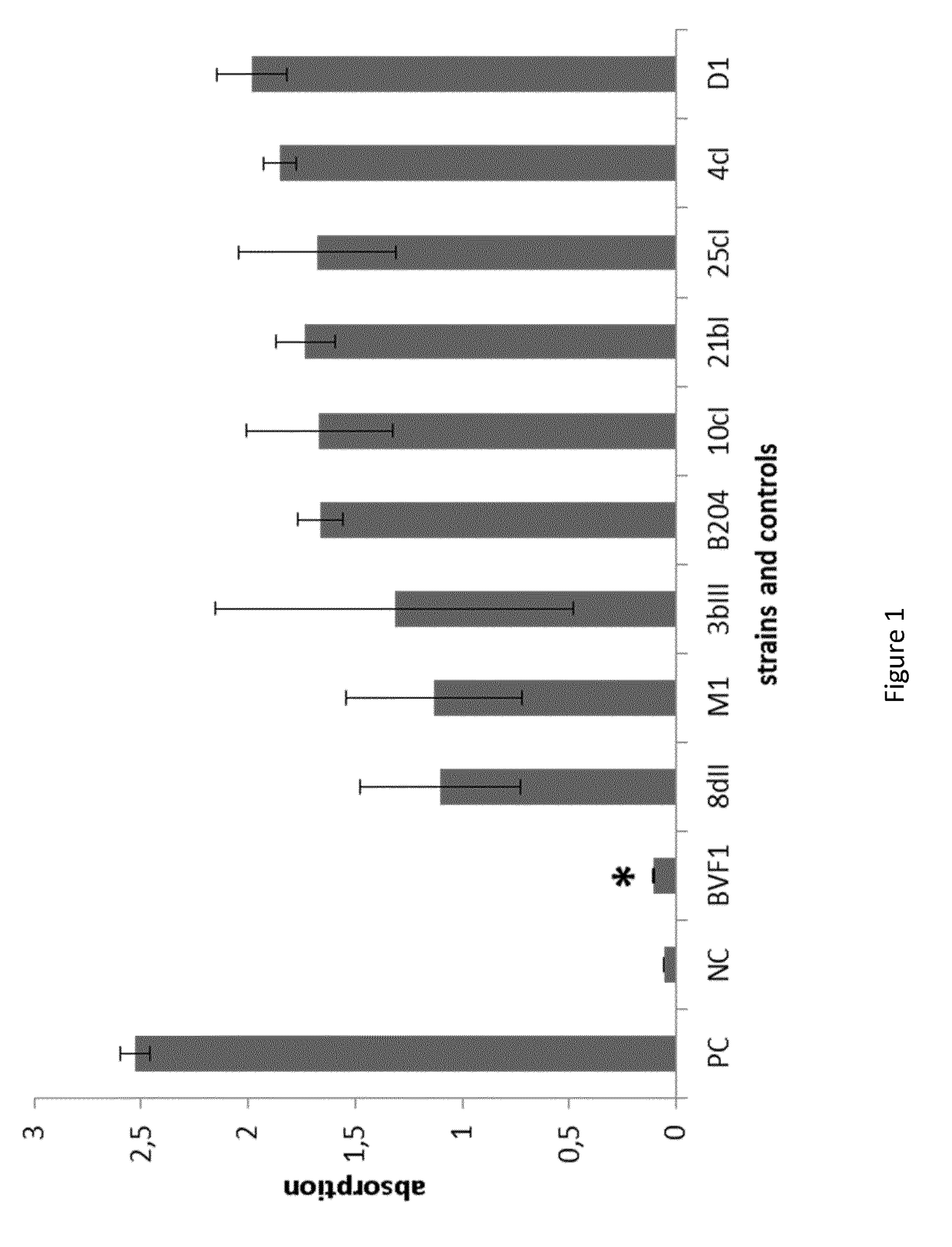 Vaccine strains of brachyspira hyodysenteriae