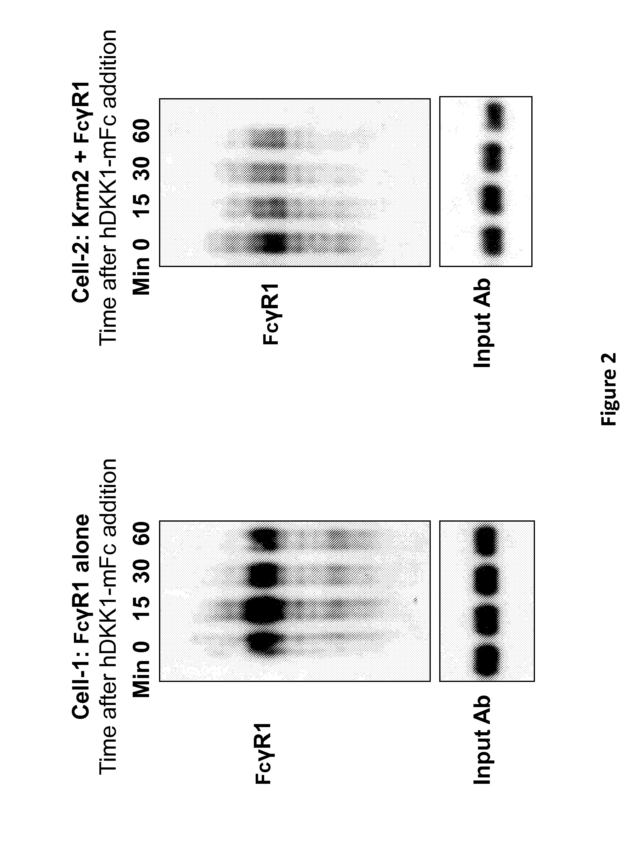 Multispecific antigen-binding molecules and uses thereof