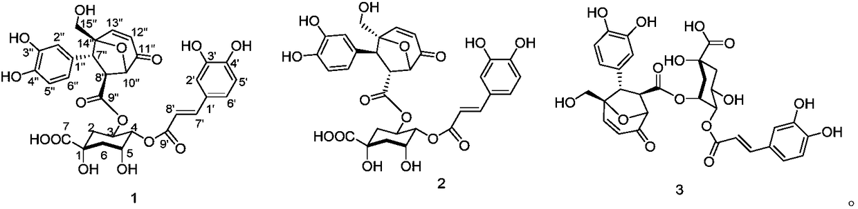 Compound extracted from chrysanthemum morifolium, pharmaceutical composition of compound and application of pharmaceutical composition in prevention and treatment of neurodegenerative diseases