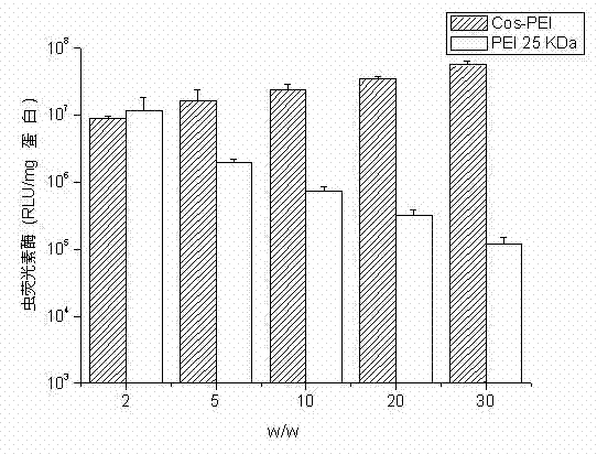 Polyethyleneimine (PEI) derivative taking amphipathic chitosan as cross linker and preparation method and application thereof