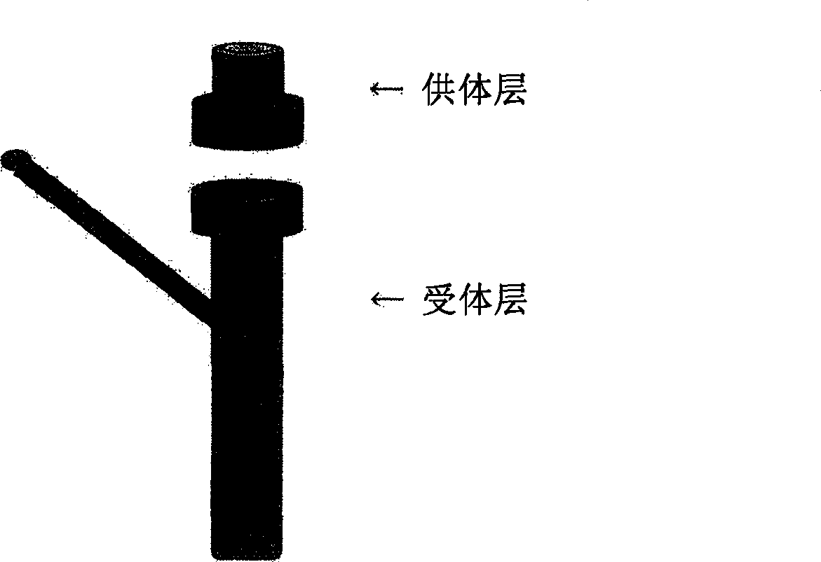 5-aminolevulinic acid phosphate, method for producing the same and use thereof