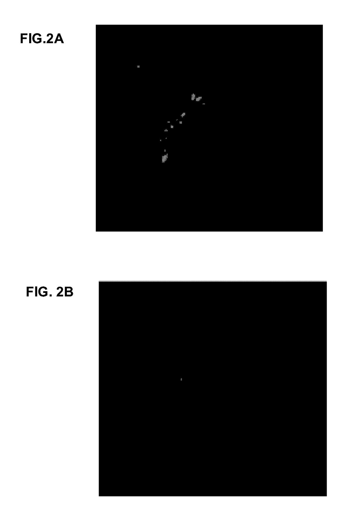 Antagonists for abdominal vasopressin v2 receptor and uses thereof