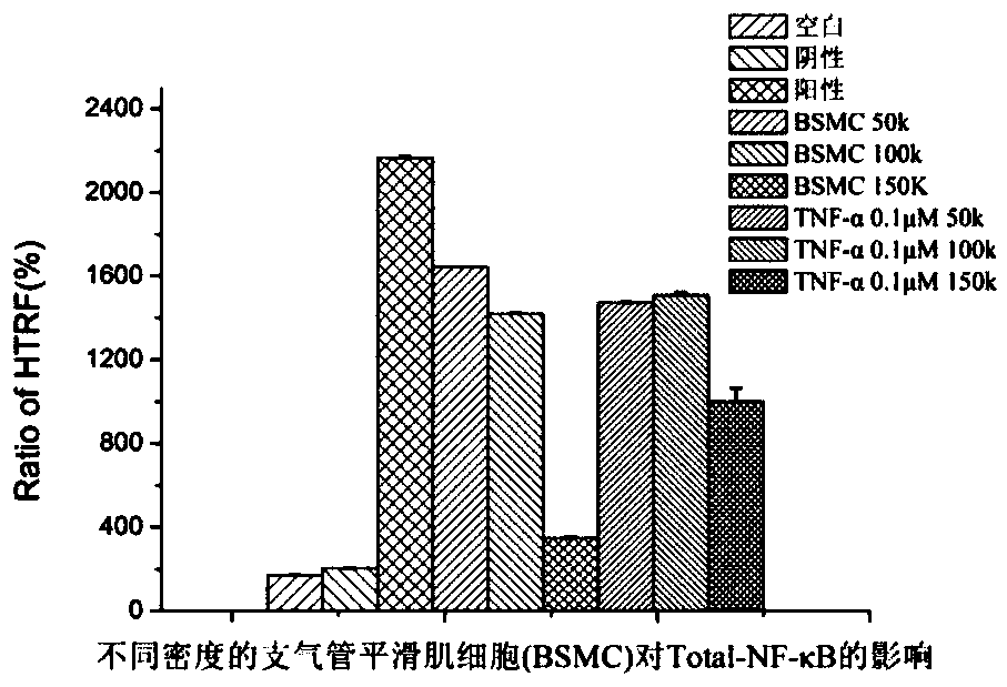 Preparation method of high-throughput airway inflammatory drug screening cell model based on NF-kappaB signaling pathway, and application of cell model