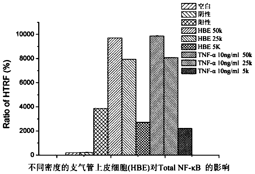 Preparation method of high-throughput airway inflammatory drug screening cell model based on NF-kappaB signaling pathway, and application of cell model