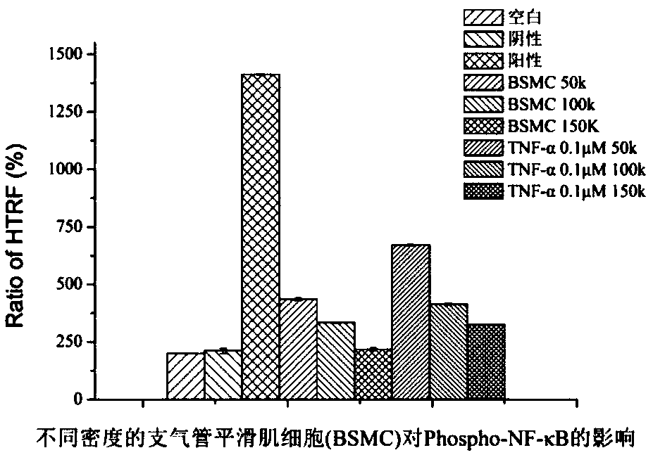 Preparation method of high-throughput airway inflammatory drug screening cell model based on NF-kappaB signaling pathway, and application of cell model