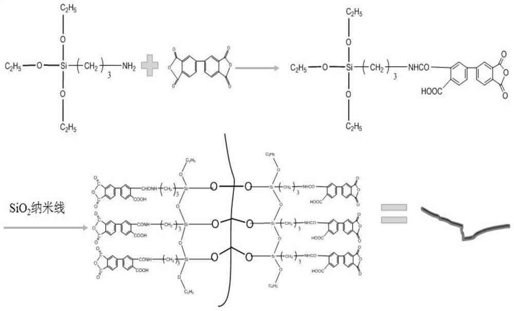 Carbon fiber surface grafted two-dimensional network structure reinforced polyether-ether-ketone composite material and preparation method thereof