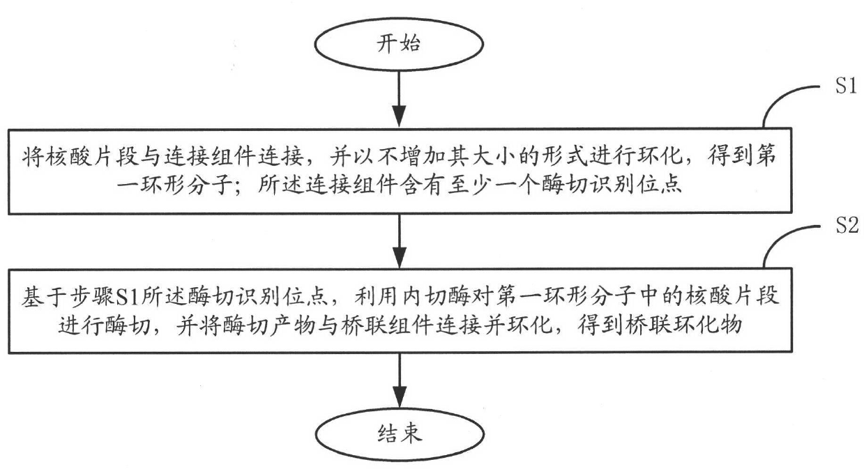 Method for constructing sequencing library by cyclizing method