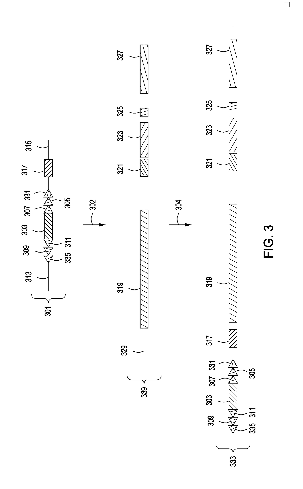 Transgenic mammals and methods of use thereof