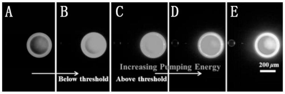 A kind of efficient organic near-infrared fluorescent material and its preparation and application