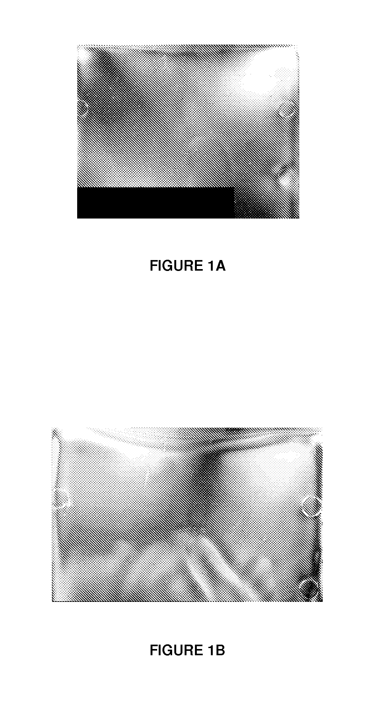 Amorphous thermoplastic polyester for the production of optical articles