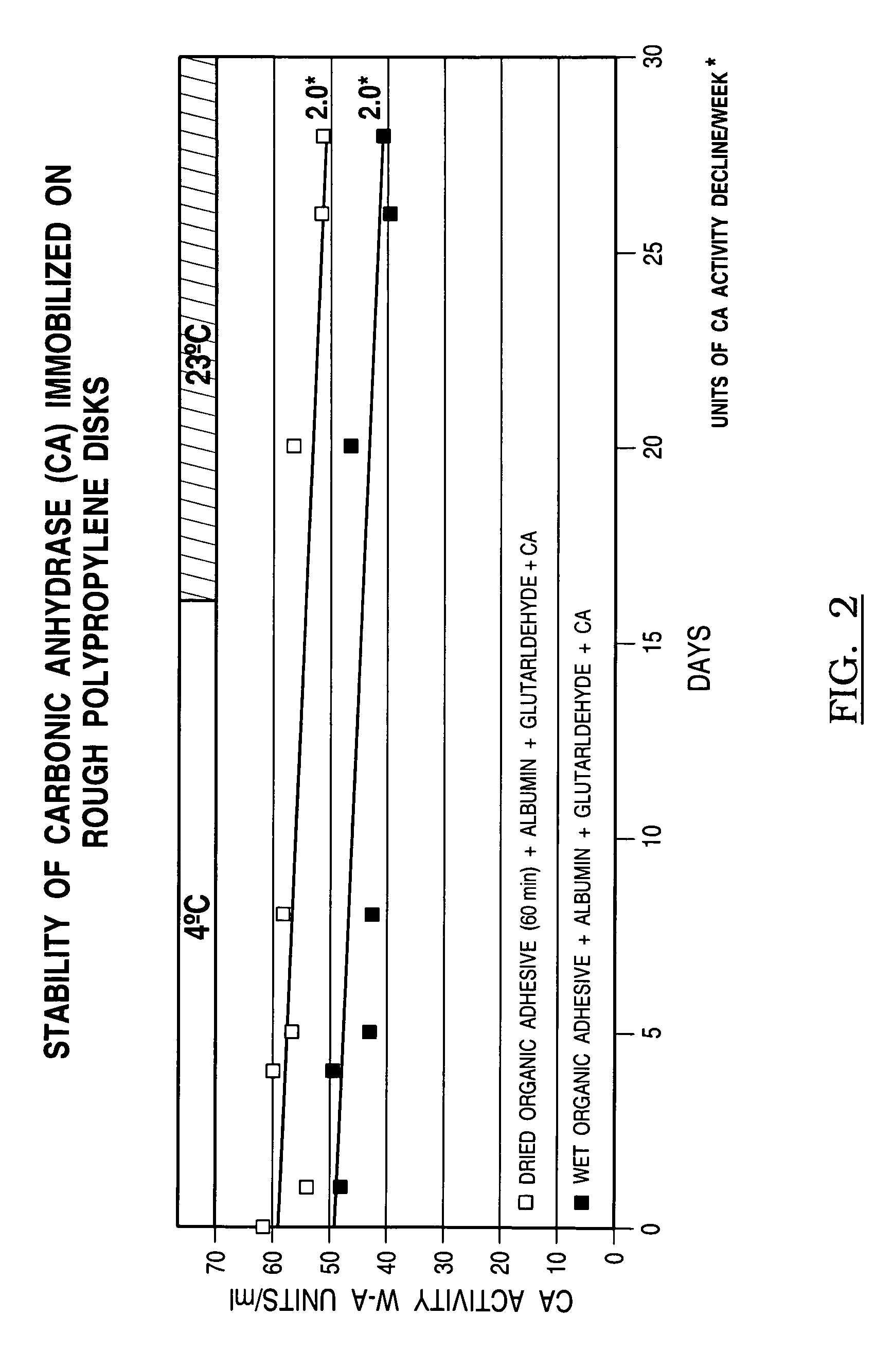 Process for immobilization of protein catalysts, product, and use