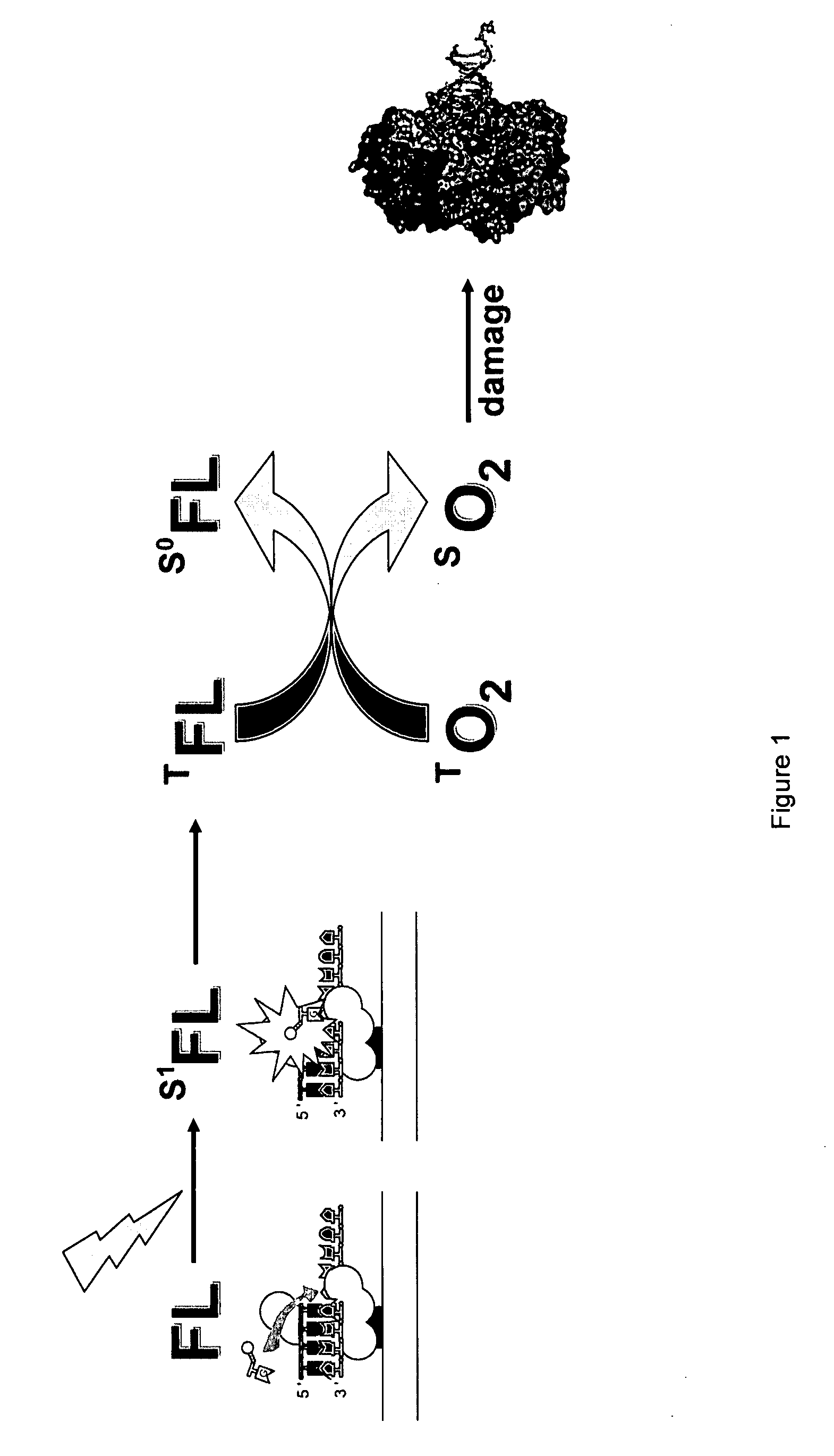 Mitigation of photodamage in analytical reactions