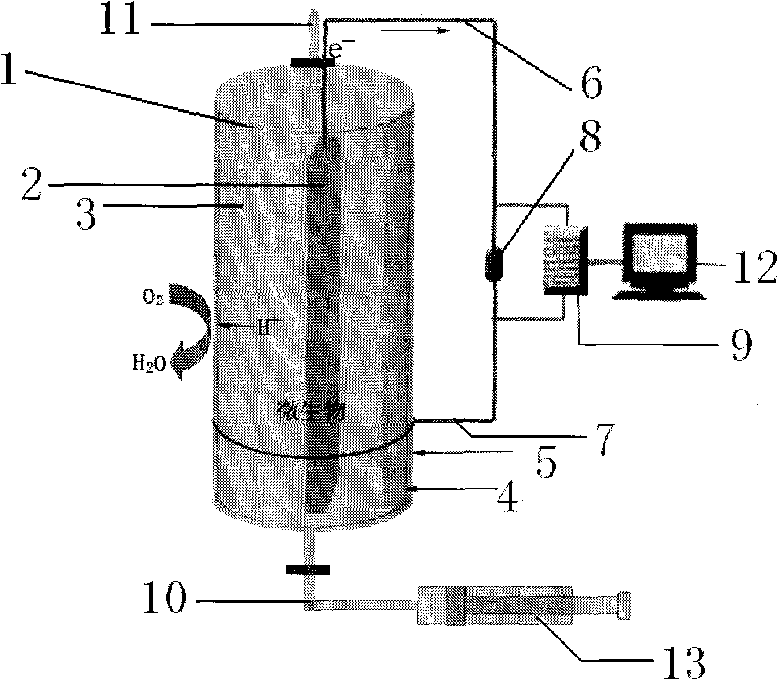 Measuring method of biochemical oxygen demand and BOD sensor and applications