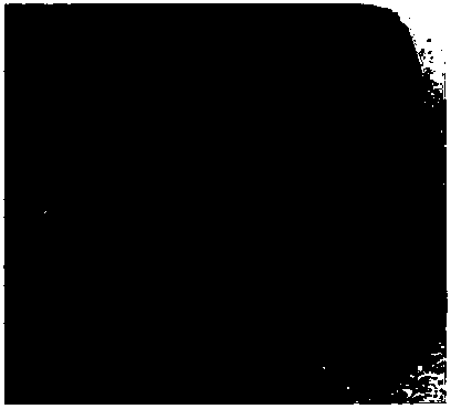 Atmospheric corrosion-resistant molten structural steel, niobium-nitrogen-containing atmospheric corrosion-resistant structural steel and production method thereof