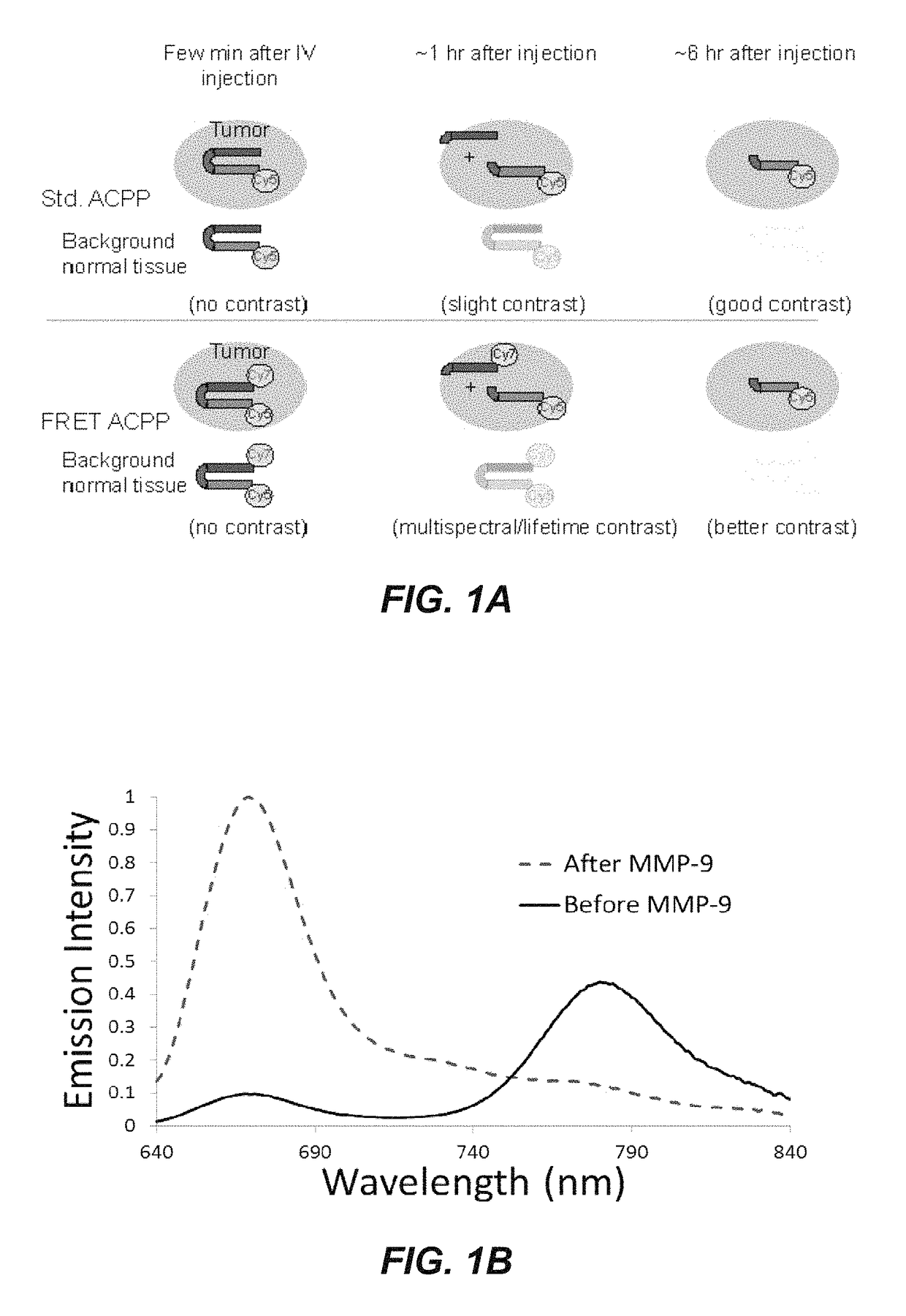 Activatable cell penetrating peptides with quenched fluorophores