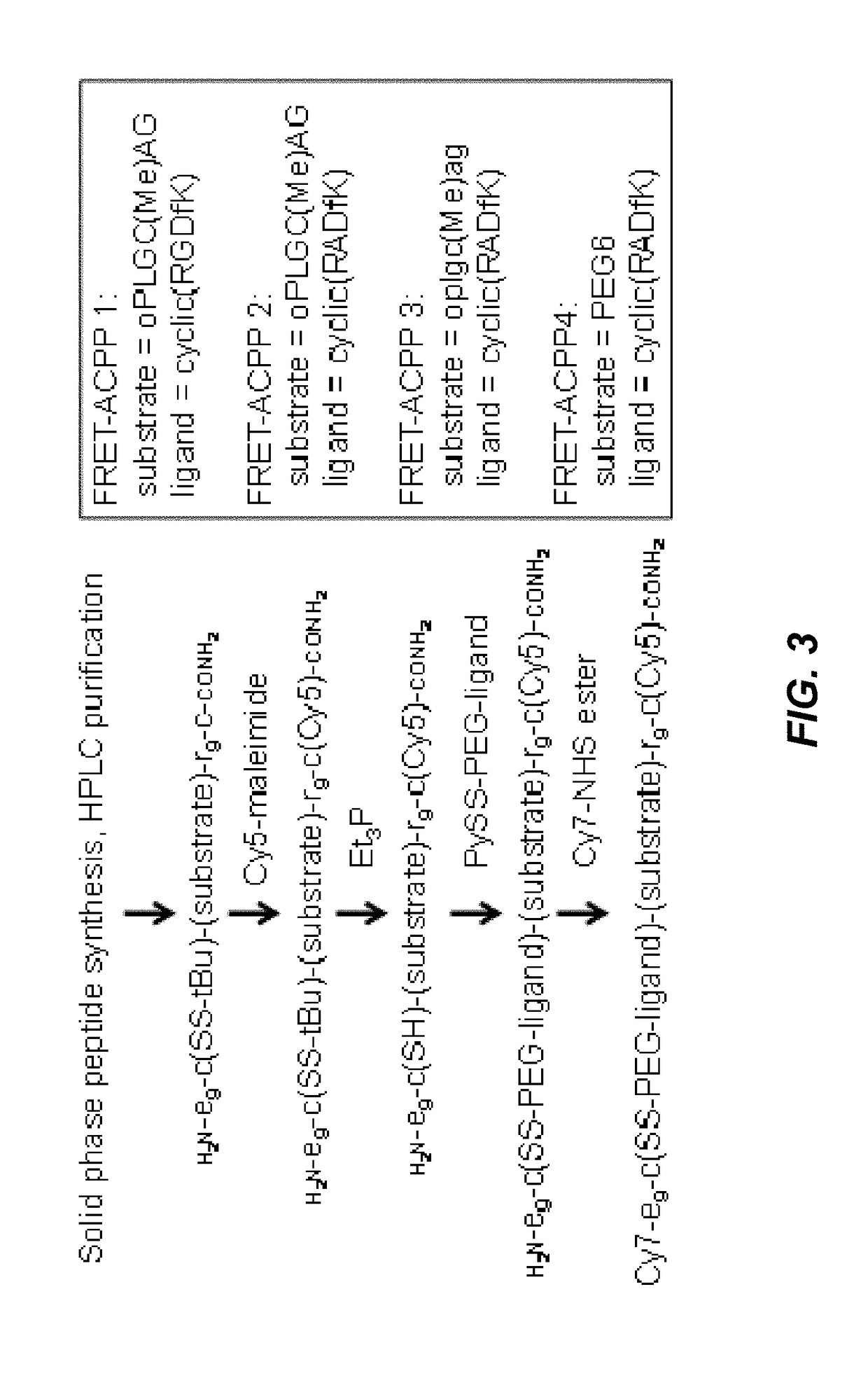 Activatable cell penetrating peptides with quenched fluorophores