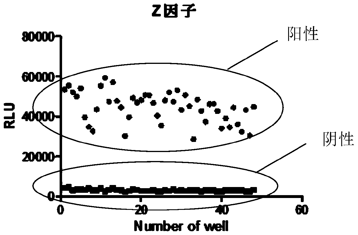 Quick detection method of TGFbetaR1(T204D) enzyme activity, and application thereof