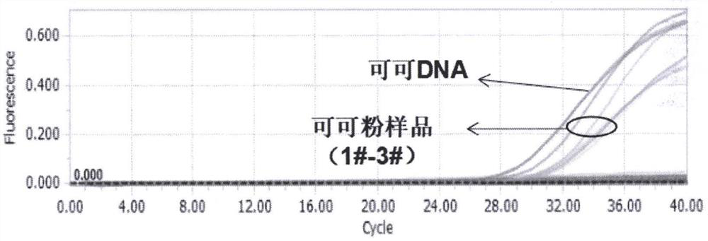 Primer probe and method for detecting cocoa-derived components in cocoa powder