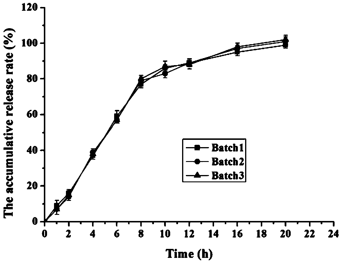 Memantine hydrochloride sustained release preparation and preparing method thereof