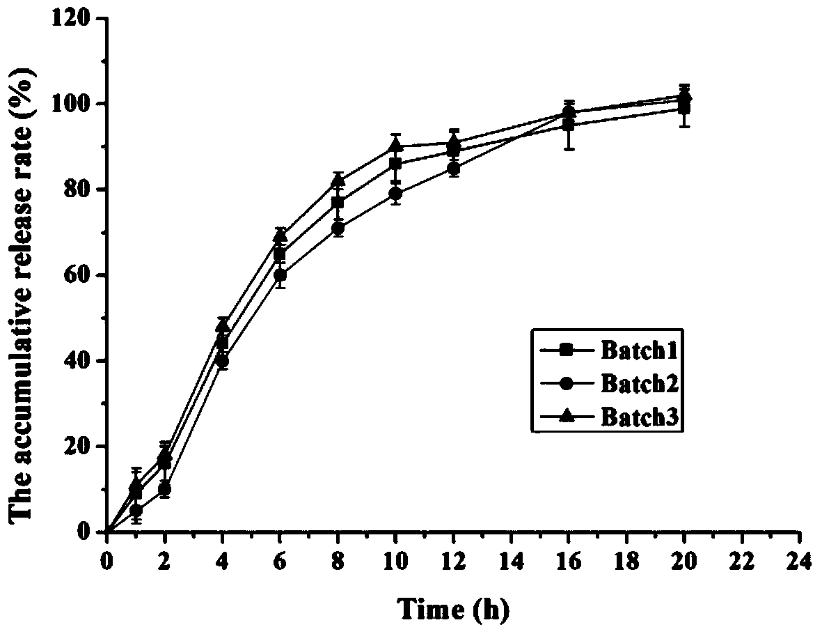 Memantine hydrochloride sustained release preparation and preparing method thereof