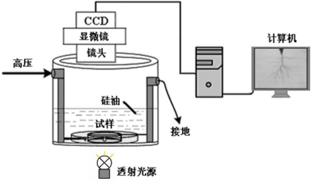 Real-time microscopic observation test system for electrical tree characteristics in solid insulation under DC voltage