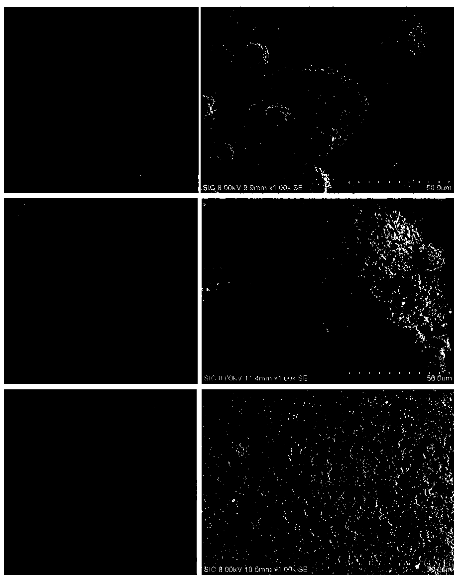 Molecular adsorption-thermal control bifunctional coating and preparation method thereof