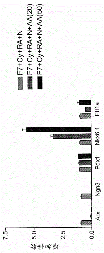 Differentiation of human embryonic stem cells