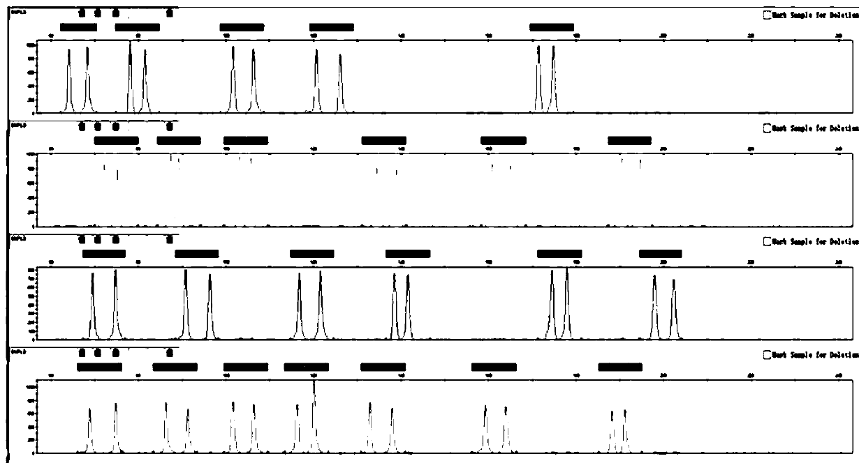 Fluorescent composite amplification system, kit and application of kit