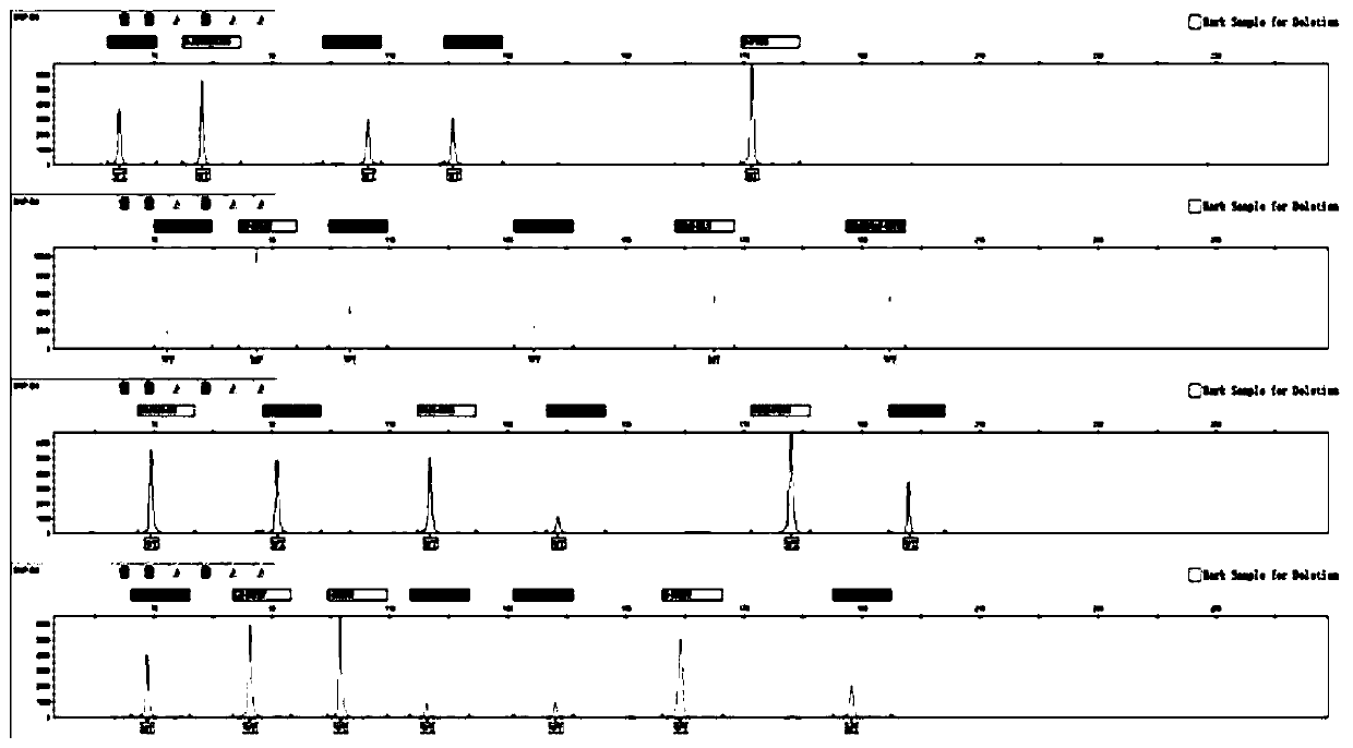 Fluorescent composite amplification system, kit and application of kit